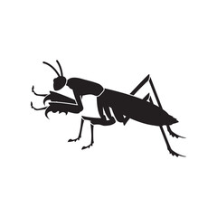 praying mantis icon symbol sign vector
