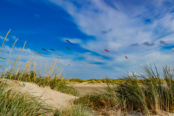 flying, colorful kites in beautiful dune landscape with sunshine and blue sky in the North Sea in Rømø Denmark