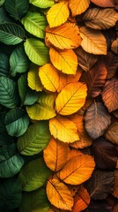 Fototapeta premium gradient from green leaves to orange