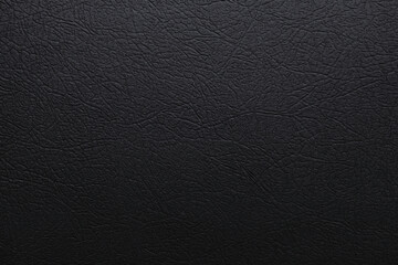 Vector black leather background with lighting. Animal skin texture.