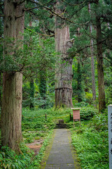 山形県　羽黒山五重塔