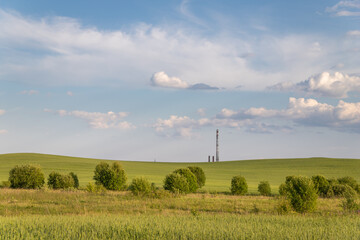 green field and blue sky