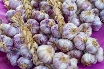 Lots of garlic bulbs