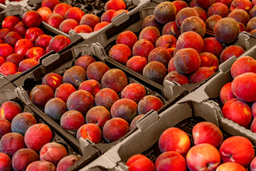 Peaches and nectarines