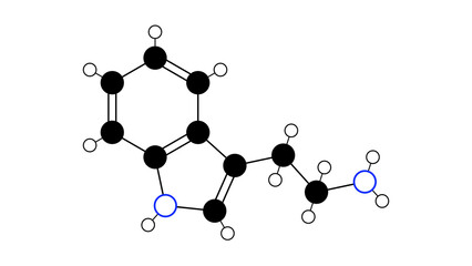 tryptamine molecule, structural chemical formula, ball-and-stick model, isolated image indolamine metabolite