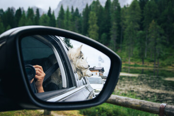 Two Husky dogs looking out of car window in side view car mirror on mountain road trip 