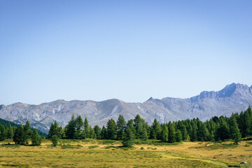 Wild mountains with forests and green in le Lauzet-Ubaye, Alpes-de-Haute-Provence