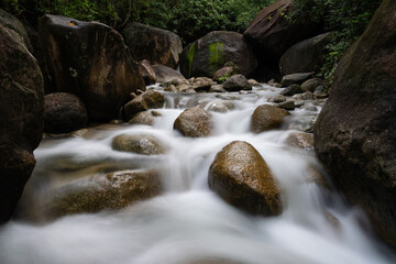 A stunning waterfall hidden deep in a lush, green forest. , surrounded by towering trees and rich foliage, creating a serene and mystical atmosphere