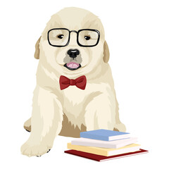 PNG golden retriever puppy, smart dog sticker, transparent background