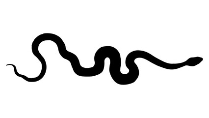 Fototapeta premium Snake silhouette png sticker, wild animal illustration clipart, transparent background
