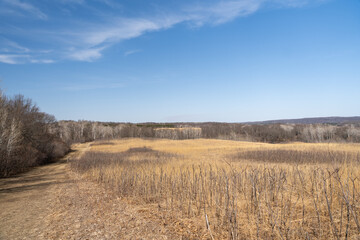 Fototapeta premium Views of dried prairie and trees during a sunny spring day at a MN state park.