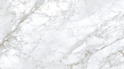 Fototapeta premium Calacatta White Marble Wallpaper Texture