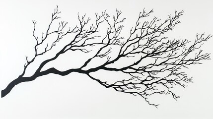 Tree Branch Silhouette on White Background