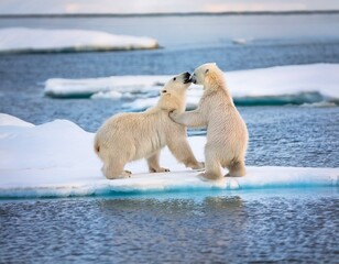 Polar bear (Ursus maritimus) mother and cub on the pack ice, north of Svalbard Arctic Norway