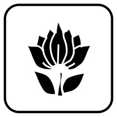 Obraz premium flower