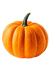 Fototapeta premium Orange pumpkin on PNG background