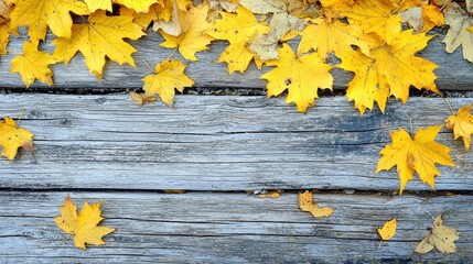 Autumn Season with Earthy Colors