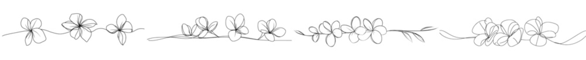 Continually line art drawn tropical plumeria flowers (frangipani, jasmine). Black and white minimalist sketch on white background. Modern illustration.