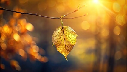 Obraz premium A delicate golden leaf falls from a branch in the morning light, autumn, warm tones