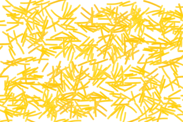 Pasta isolated vermicelli on transparent background.