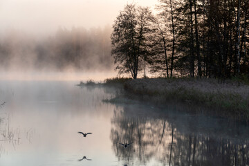 Blurred landscape with a lake in the morning fog, fog over the lake, dark silhouettes of trees on...