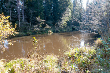 rapid flow of a wild river, blurred water surface, autumn in nature, Braslas river