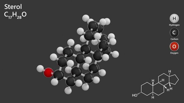 Sterol. Animated 3D model of a molecule. Molecular formula: C17H28O. Chemical model: Ball and stick. Sterols are a subgroup of steroids. Gray background. 3D rendering. Seamless loop.