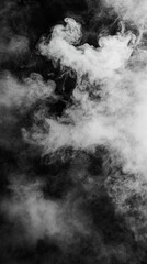 Fototapeta premium Smoke on Black Background