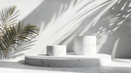 Abstract white space, cylinder podium set, palm leaf shadows, elegant product showcase