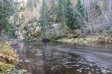 rapid flow of a wild river, blurred water surface, autumn in nature, Braslas river