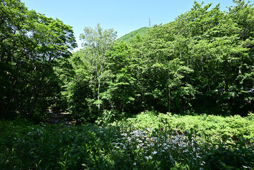 Mount. Tairappyou and Sennokura, Gunma, Japan