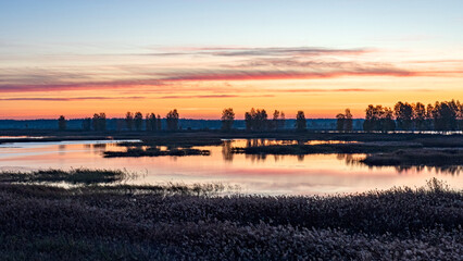 Fototapeta premium peculiar sunrise landscape of overgrown and flooded peat fields, bog ponds, bird nest