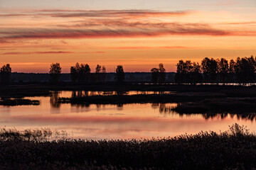 Fototapeta premium peculiar sunrise landscape of overgrown and flooded peat fields, bog ponds, bird nest