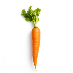 Fresh ripe carrot with green leaves isolated background