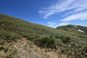 Mount. Tairappyou and Sennokura, Gunma, Japan