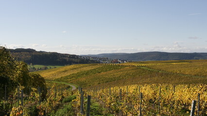 Weinberge bei Bekond