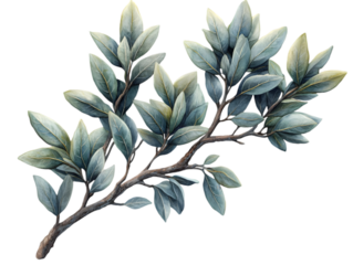 Elegant branch with lush green and blue leaves, showcasing nature's beauty and intricate details.