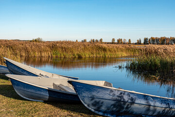 Obraz premium blue boats on the shore of the lake, fishing concept, colorful plant vegetation