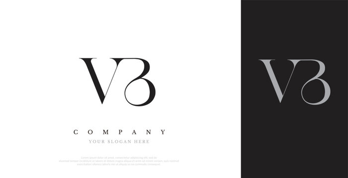 Initial VB Logo Design Vector 