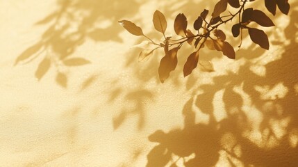 The intricate shadow of a leafy tree branch falling across smooth, untouched sand, captured in soft golden light