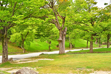 Hiroshima; Japan - august 6 2024 : castle park