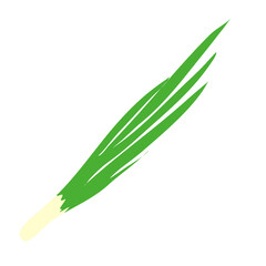 Green spring onion leaf