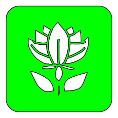 Fototapeta premium flower