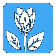 Obraz premium flower