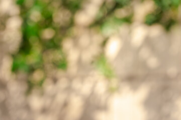 A blurry image of a green bush with leaves and a brown wall in the background. The image has a dreamy, hazy quality to it, as if it were captured in a soft focus
