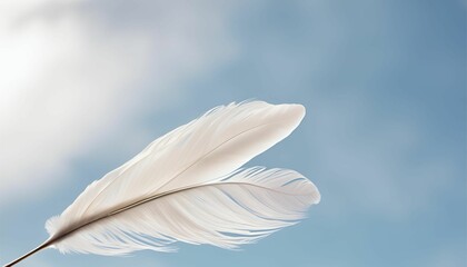 Obraz premium A white feather with soft and smooth on clean background, Generative AI