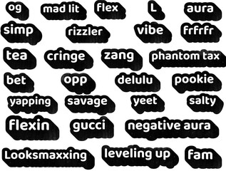 Fototapeta premium gen z alpha slang bold typography