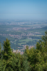 Obraz premium Mont Sainte Odile, France - 09 07 2024: Alsatian Vineyard. Panoramic view of forests, hills and villages from the Sanctuary of Mont Sainte Odile along the wine route.