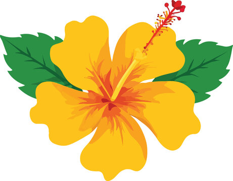 yellow hibiscus flower with green leaves clip art preview