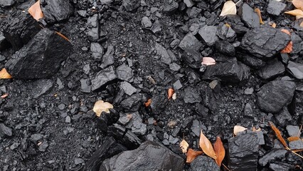 a close-up view of a ground surface covered with small to medium-sized black rocks or coal pieces. Scattered among the rocks are a few dry, brown leaves